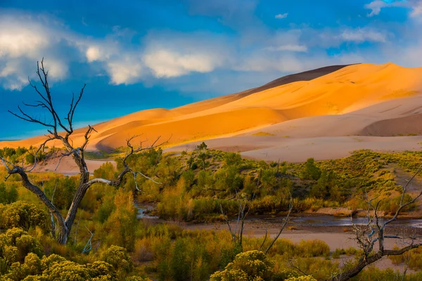 Desierto Amanecer Colorado Dunas de arena —  Fotos de Stock
