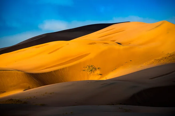 Woestijn Sunrise landschap — Stockfoto