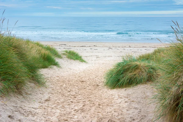 Písečné duny stezku, která vede do dálky — Stock fotografie