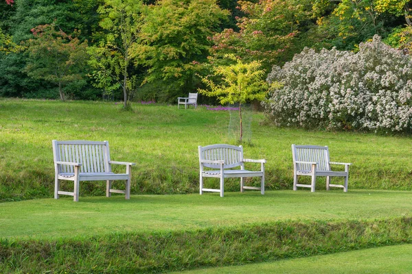 Деревянные скамейки установлены на ухоженном газоне с деревьями в задней части — стоковое фото