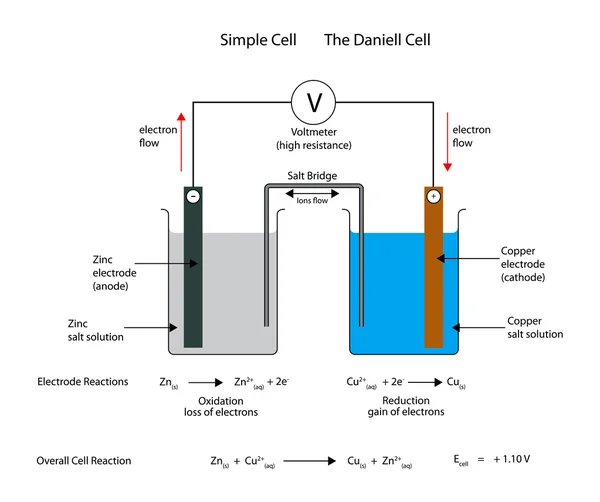 Celda electroquímica o galvánica simple. La celda de Daniell . — Archivo Imágenes Vectoriales