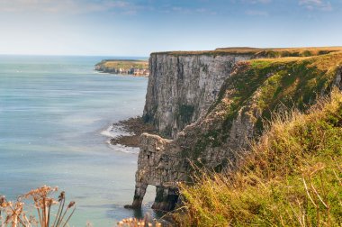Yorkshire İngiltere'de Bempton, kireçli kayalıklarla