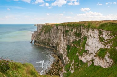 Yorkshire İngiltere'de Bempton, kireçli kayalıklarla
