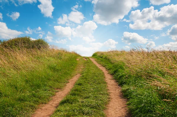 Grasweg bergauf mit blauem Himmel. — Stockfoto