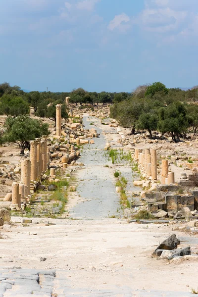 Jordan the Umm Qais Roman ruin — Stock Photo, Image