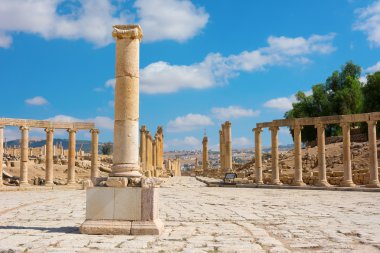 Antik Jerash Jordan Forum Decumanus
