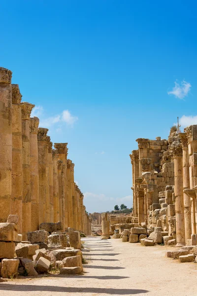 La calle Cardo Maximus en las ruinas de Jerash Jordania —  Fotos de Stock