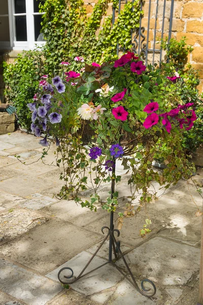 Plantas coloridas en una olla de terracota, incluyendo begonia, petunia , — Foto de Stock