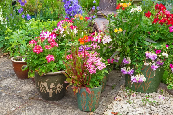 Containers filled with colorful plants. — 图库照片