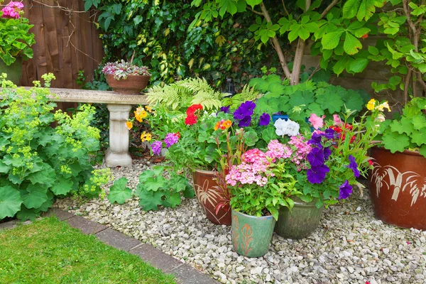 Giardino con contenitori pieni di fiori colorati — Foto Stock