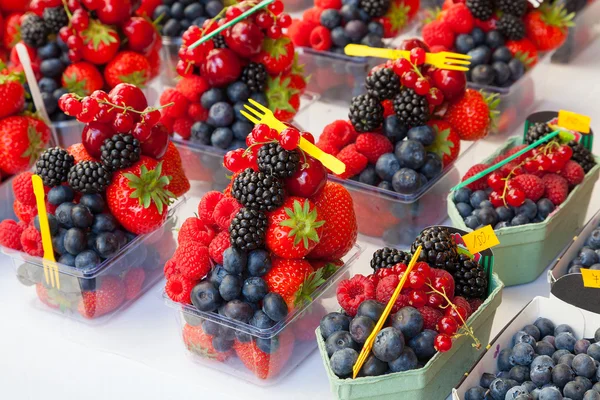 Arranjo colorido de bagas de frutas frescas prontas para comer em uma ma — Fotografia de Stock