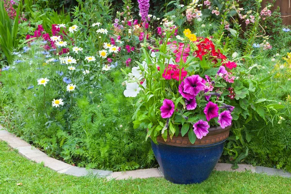 Mixed flower border with potted plants — Stock Photo, Image