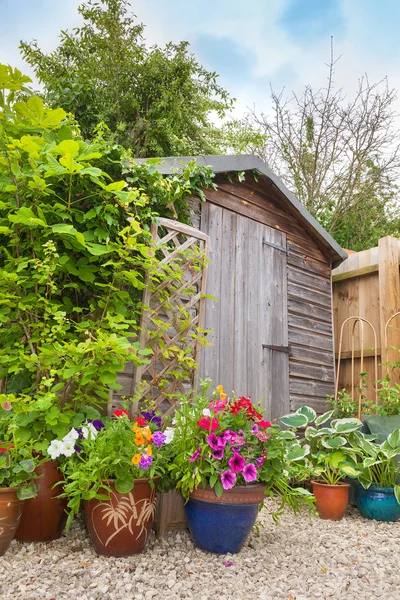 Friggebod dolda av färgglada behållare av blommor — Stockfoto