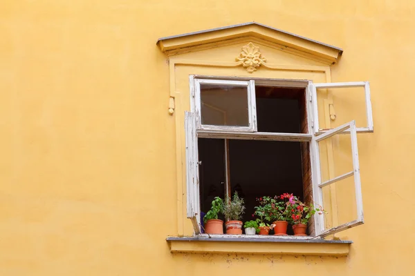 Yellow platered wall with open window — Stock Photo, Image