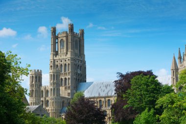 Ely Katedrali Cambridgeshire İngiltere