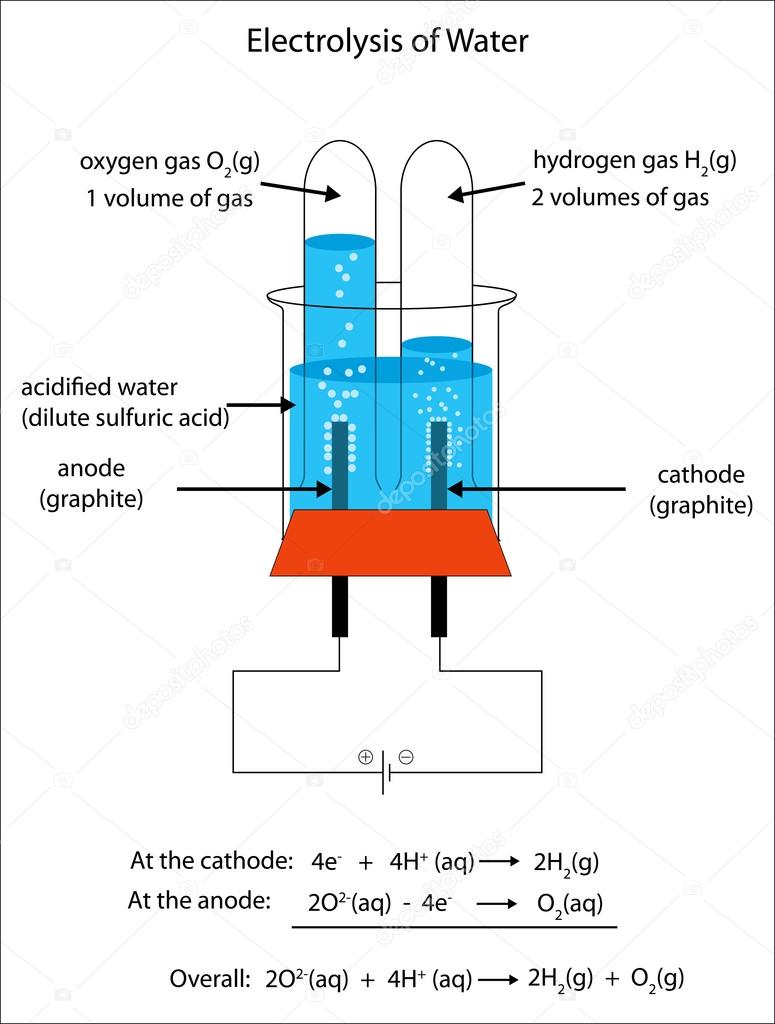 Fully labeled diagram ofr the electrolysis of water to form hydr