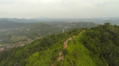 Tropik yağmur ormanı havadan görünümü