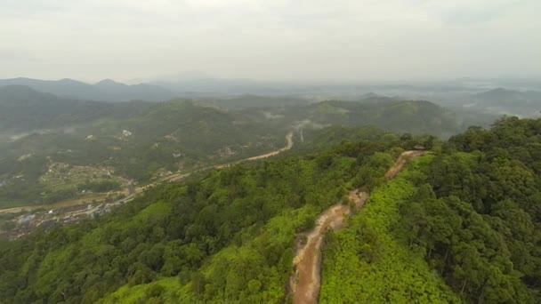 Vista aerea della foresta pluviale tropicale — Video Stock