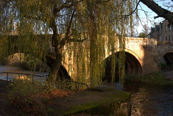 Wilgenboom bij Canongate brug op Jed water in Jedburgh — Stockfoto