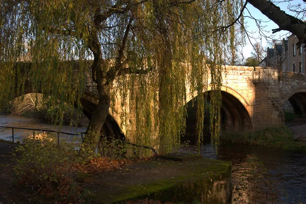 Fűzfa a Canongate hídon Jed vízen Jedburgh-ban — Stock Fotó