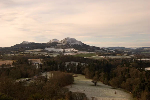 View of Eildon Hills from Scotts View in winters frost — Stock Photo, Image