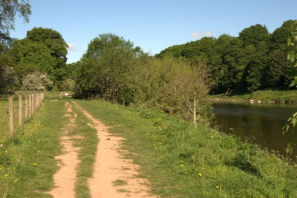 Walking path westwards by river Tweed near Darnick in summer — Stock Photo, Image