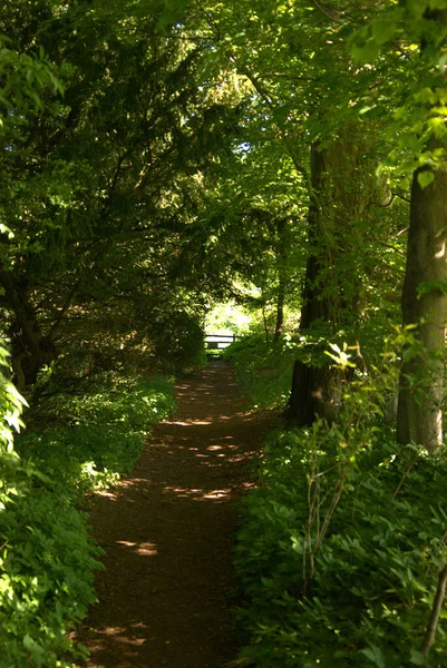 Woodland path to gate by river Tweed in Darnick — Stock Photo, Image