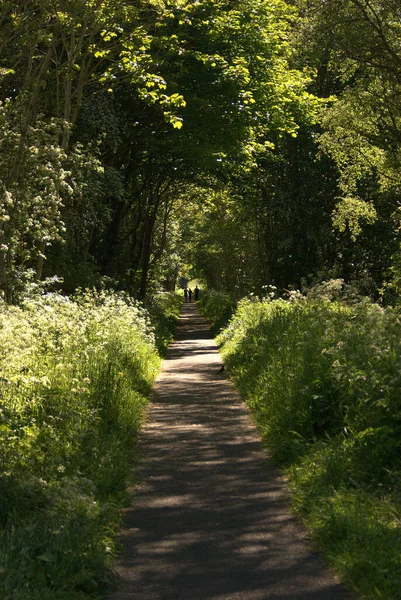Footpath to Melrose on a summer sunday morning — Stock Photo, Image
