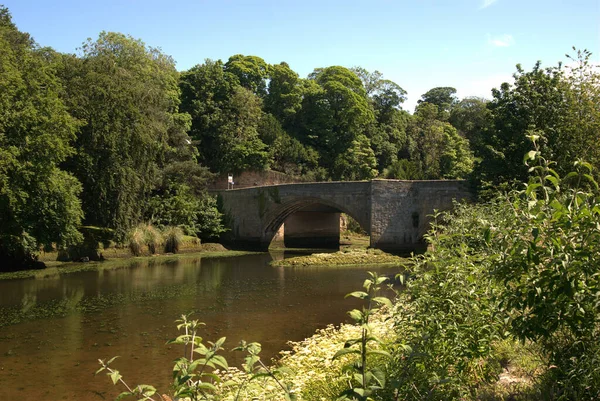 Warkworth köyündeki Coquet nehri üzerinde eski bir taş köprü. — Stok fotoğraf