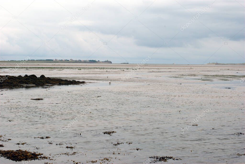 view to Lindisfarne island from causeway on dull day