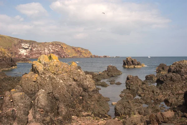 Klify i zatoka przybrzeżna w St. Abbs Berwickshire — Zdjęcie stockowe