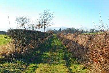 berwickshire ülke parça