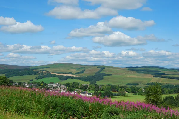 Selkirk e la campagna circostante — Foto Stock