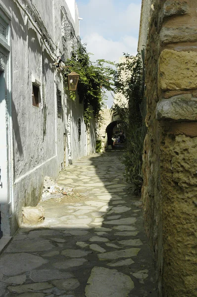 Тунисская аллея в Хаммамете — стоковое фото