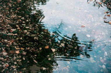 Daire net bir dere içinde su