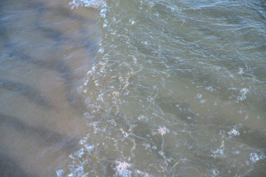 deniz dalga köpüğü kumlu bir plaj gün batımında