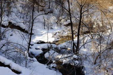 karlı bir ormandaki hızlı Nehri