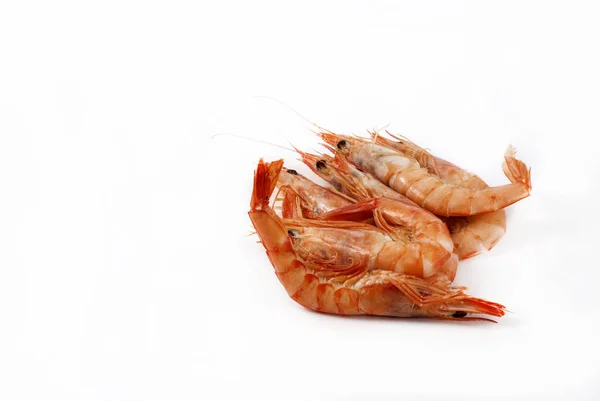 Langostinos Cocidos Sobre Fondo Blanco — Foto de Stock