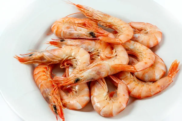 Cooked Prawns White Background — Stock Photo, Image