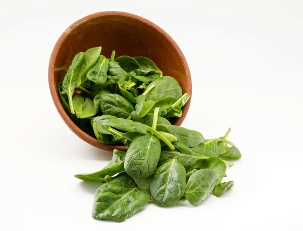 Spinach — Stock Photo, Image