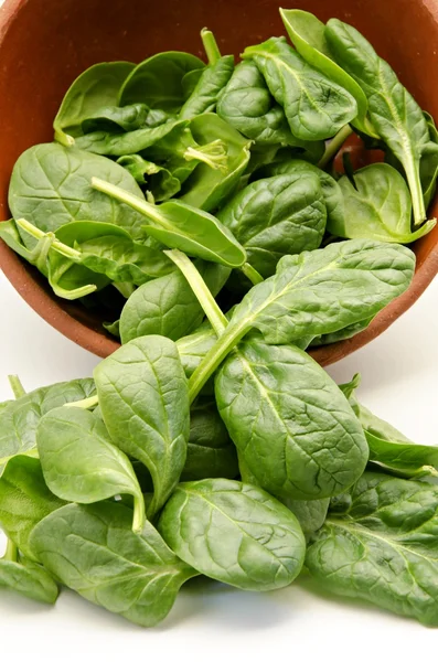 Spinach — Stock Photo, Image