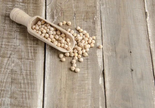 Garbanzos — Foto de Stock