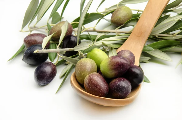 Olive — Foto Stock