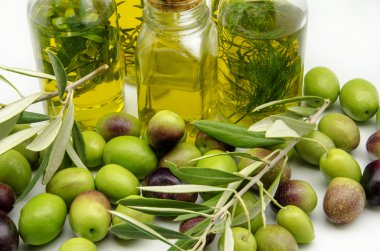 sızma zeytinyağı