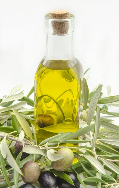 Extra virgin olive oil — Stock Photo, Image