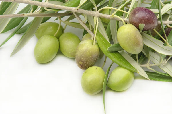 Olives — Stock Photo, Image