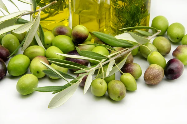 Olio extra vergine di oliva — Foto Stock