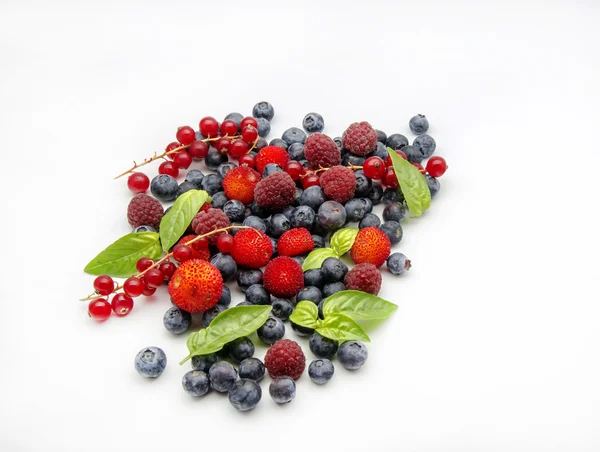 Fresh berries — Stock Photo, Image