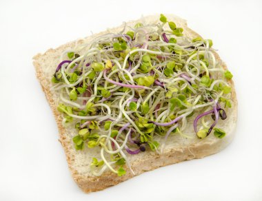 Turp lahanası ile ekmek