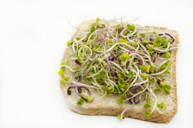 Turp lahanası ile ekmek